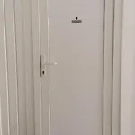 D&d Spot